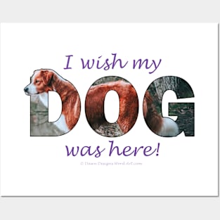 I wish my dog was here - brown and white collie oil painting word art Posters and Art